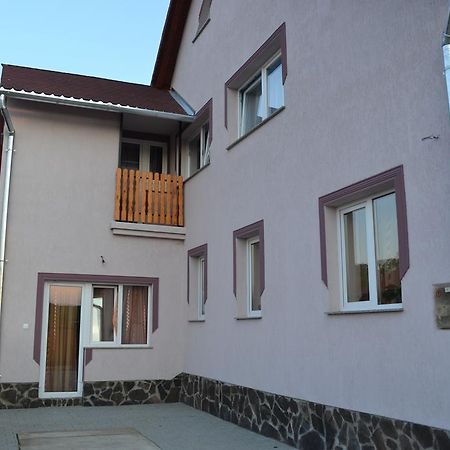 Hotel Ersa Panzio Bisericani  Exterior foto