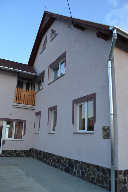Hotel Ersa Panzio Bisericani  Exterior foto