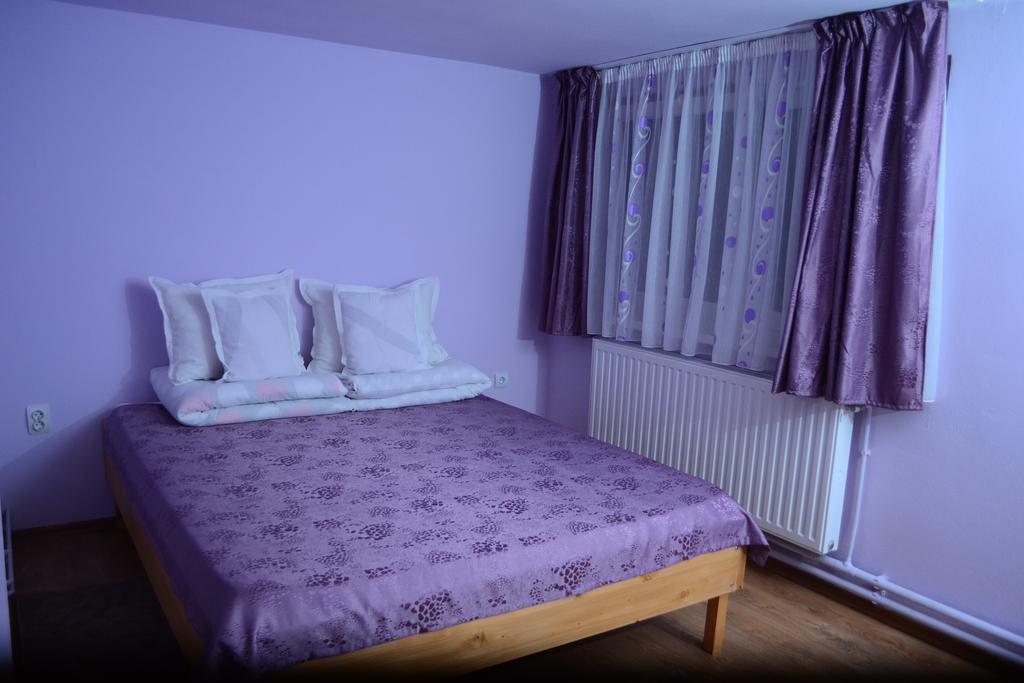 Hotel Ersa Panzio Bisericani  Zimmer foto