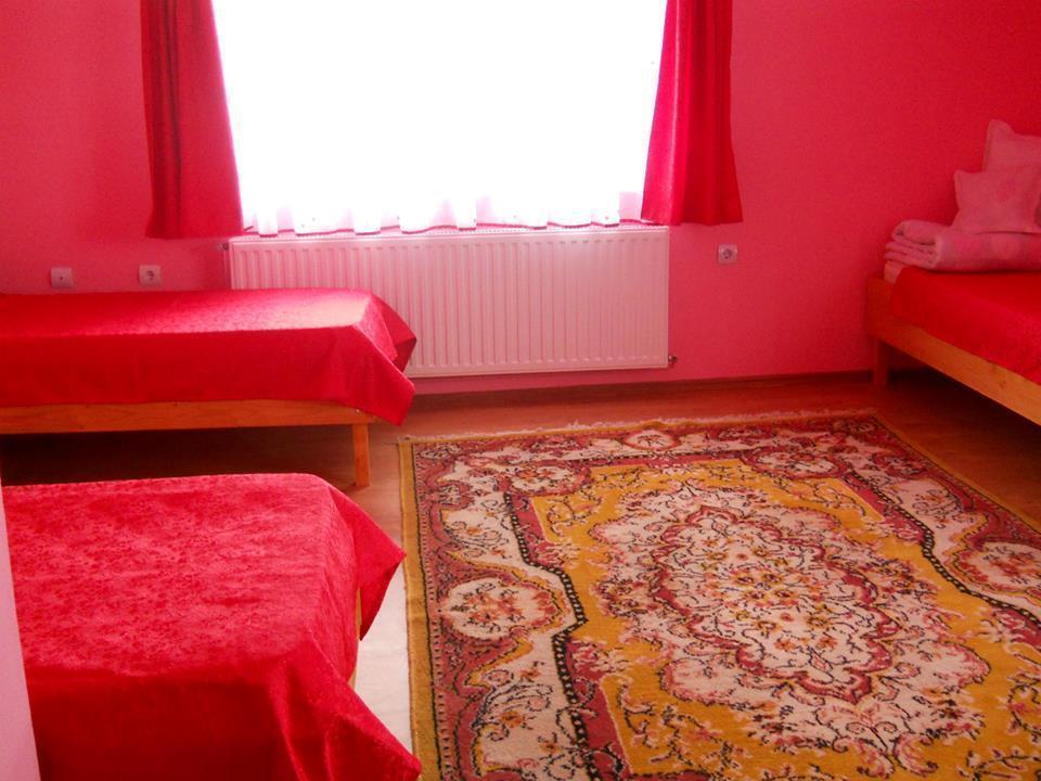 Hotel Ersa Panzio Bisericani  Zimmer foto